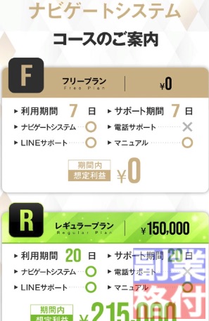 ナビゲートシステムの代金