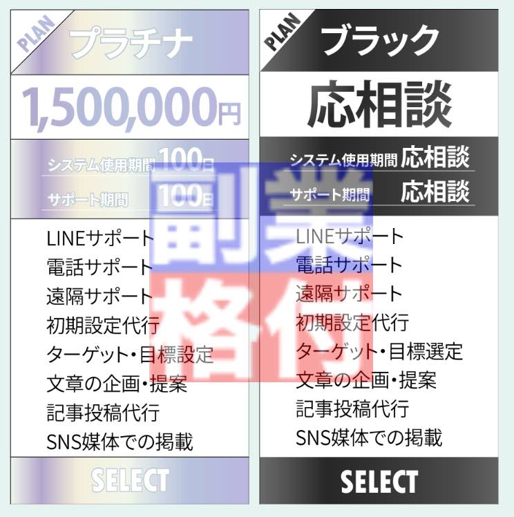 株式会社SKYの副業の高額プラン