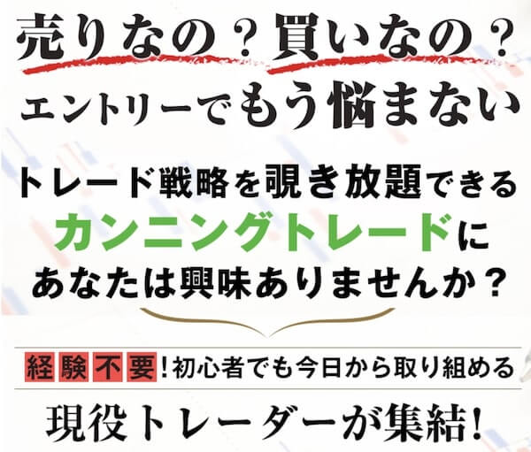 FX - Team一本杉の副業内容は怪しい