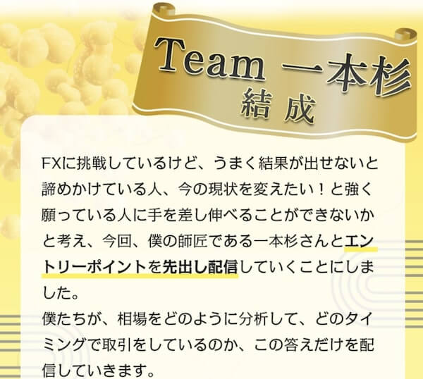 FX - Team一本杉の副業内容は怪しい