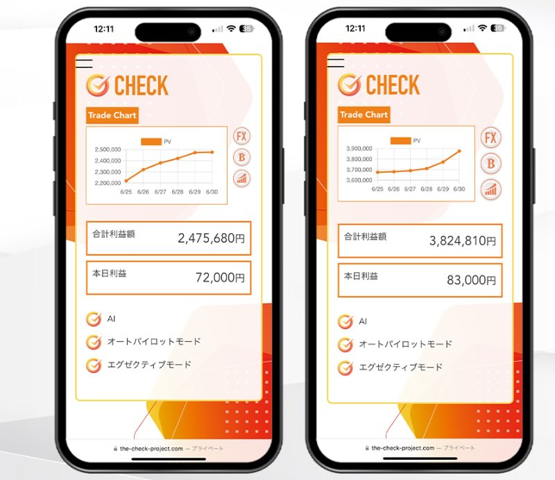 財前玲奈のCHECKは副業詐欺か！怪しい即金システムの実態を調査