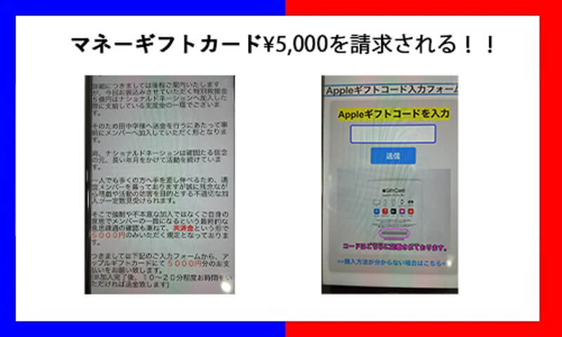 ナショナルドネーションは詐欺？怪しい5億円配りの正体を徹底調査